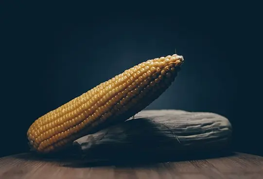 corn2-6-min.webp